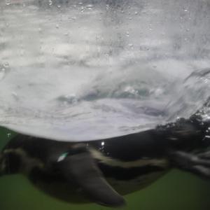 宁荣荣张开双腿被强❌游戏
