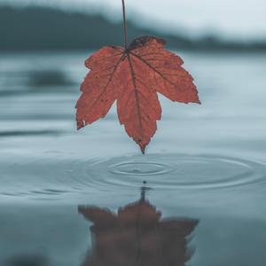 宁荣荣张开双腿被强❌游戏
